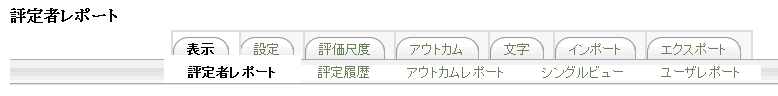 評定者レポート