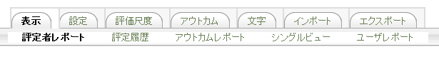 評定者レポート