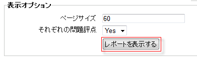 表示オプション