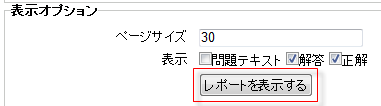 表示オプション